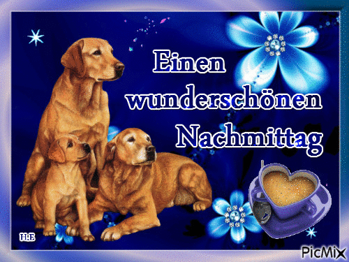 morgen nachmittag morgen nachmittag