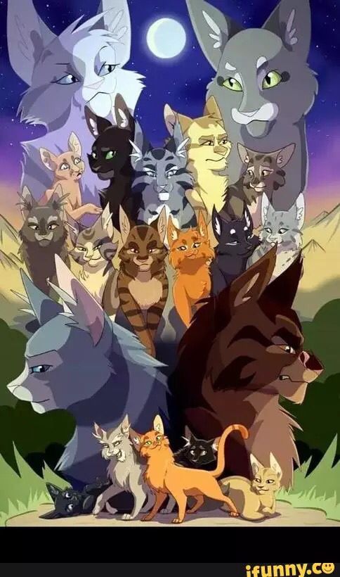 Warrior Cats Top Omen Of The Stars Second To Top Power Of Three Second To Bottom The New Prophecy Bottom The La Guerre Des Clans Illustration De Chat Lgdc