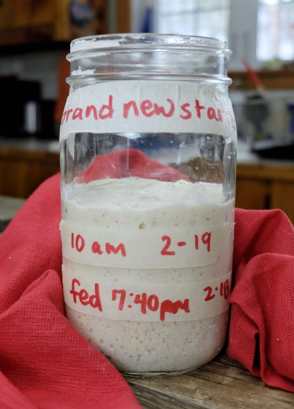 Sourdough starter troubleshooting, part 2 King Arthur Sourdough starter troubleshooting, part 2 King Arthur