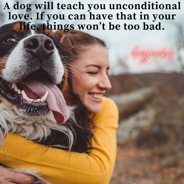A Dog Will Teach You Unconditional Love If You Can Have That In Your a-dog-will-teach-you-unconditional-love-if-you-can-have-that-in-your