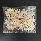 Mini Starfish Craft Decoration Natural Sea Stars DIY Beach Cottage Wedding Decor...