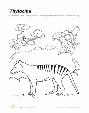 780 Coloring Pages Extinct Animals Pictures 780 Coloring Pages Extinct Animals Pictures