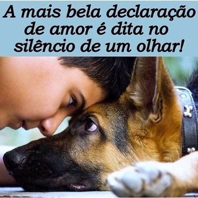 Pin em Simples