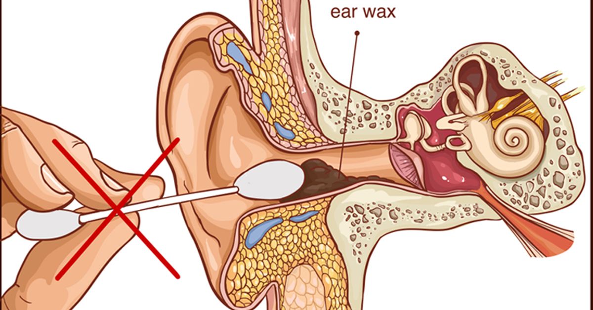 Download free music android app How to wash your ears in the shower