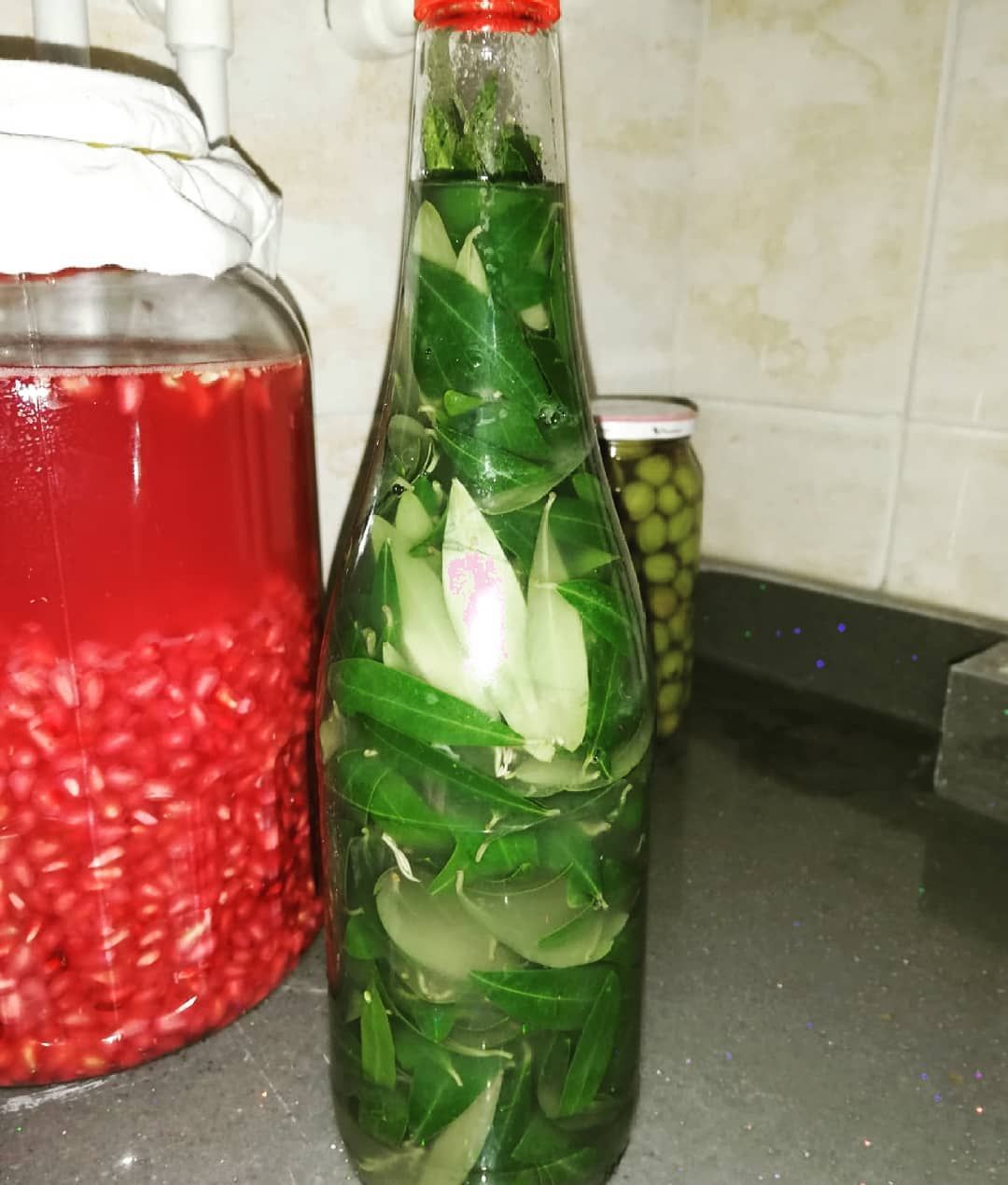 Zeytin yaprağı sirkesi ilk kurulum safhası.nasıl ki zeytin çok kıymetli çok faydalı bir gıda yaprağı da o derece önemli ve değerli.hiç çiğ… Bottle, Instagram, Home Decor, Decoration Home, Room Decor, Flask, Home Interior Design, Jars, Home Decoration