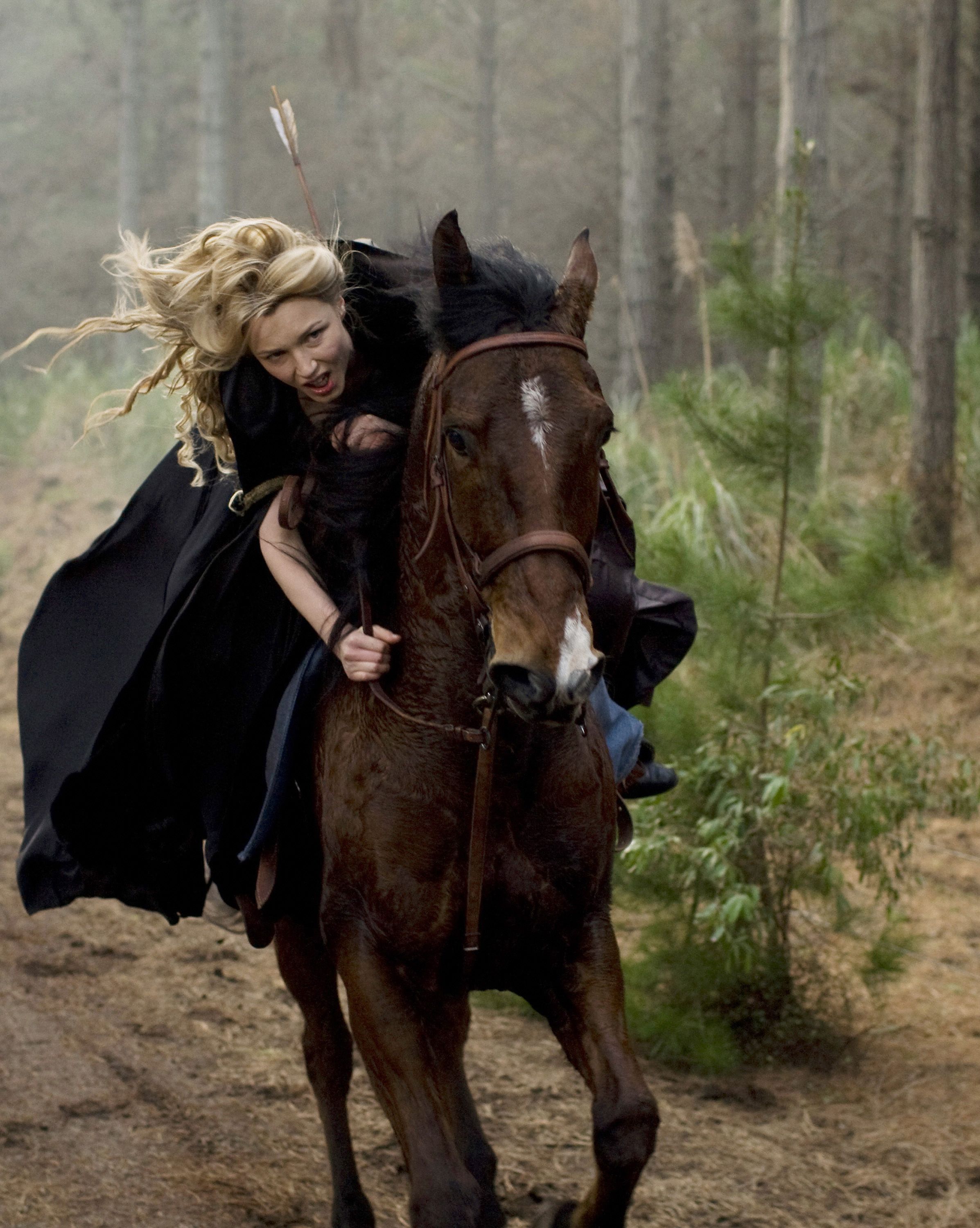 Mysterious Horse Chase in the Forest