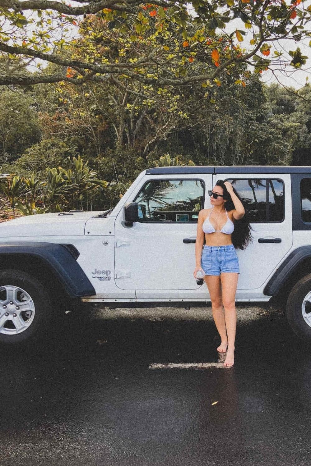 10 Best Stops On The Road To Hana (Don't Miss These!) - bellawilde Trip To Maui, Hawaii Vacation, Aloha Hawaii, Maui Travel Guide, Rainbow Eucalyptus, Red Sand Beach, Hawaiian Travel, Wailua, People Come And Go