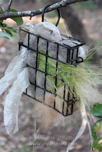 The less time a bird spends looking for nesting materials and building a nest, the more energy is available to allocate to other stages of reproduction. Homemade Bird Houses, Homemade Bird Feeders, Bird Houses Diy, Bird Nesting Material, Backyard Birds Sanctuary, Bird Feeding Station, Bird House Feeder, Bird House Kits, Bird Aviary