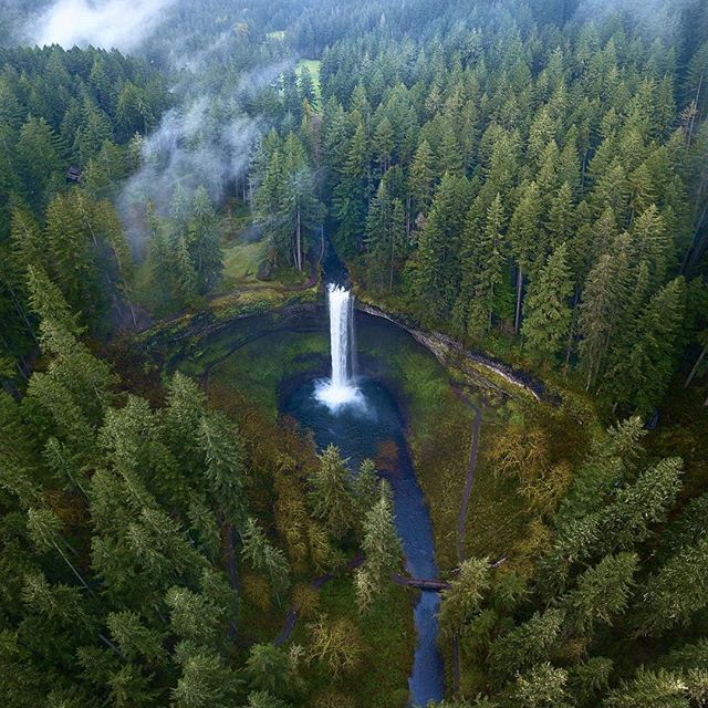 18 Badass Oregon Trails to Put on Your Bucket List | That Oregon Life Oregon Hikes, Oregon Road Trip, Oregon Trail, Portland Oregon, Oregon Hiking Trails, Ashland Oregon, Utah Hikes, Colorado Hiking, Monte Hood
