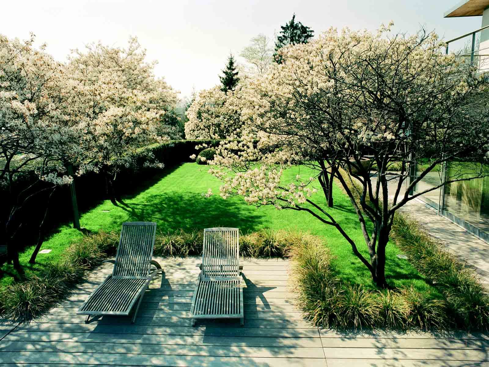 Sitzplatz Mit Gräsern Eingefasst Garden Landscape Design Outdoor Gardens Outdoor Design