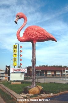 pink flamingo motel pink flamingo motel