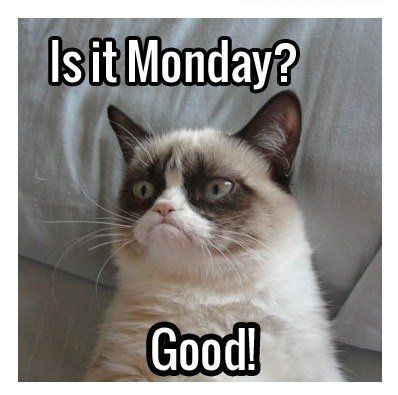 baby boomer community lifestyle in 1950 s pinterest grumpy cat baby boomer community