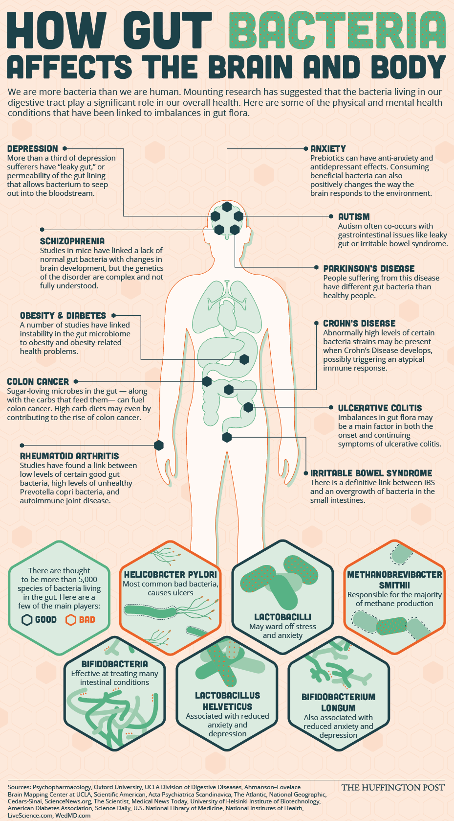 3 effective ways to clean the digestive system 3 effective ways to clean the digestive system