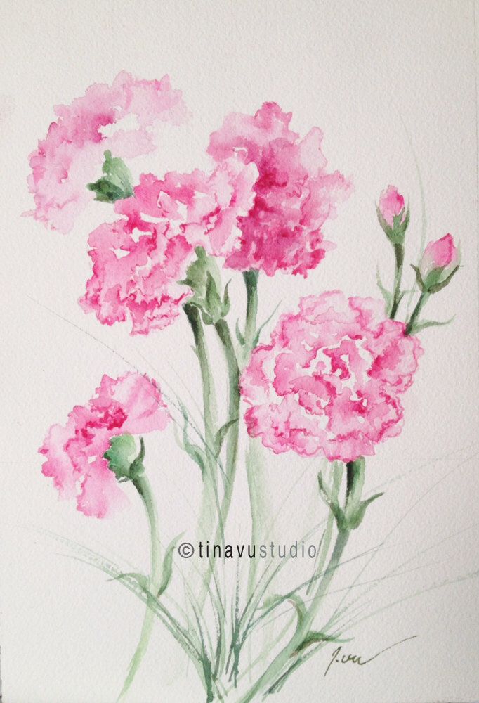 It is a graphic of Punchy Pink Carnation Drawing This is an image of Punchy Pink Carnation Drawing