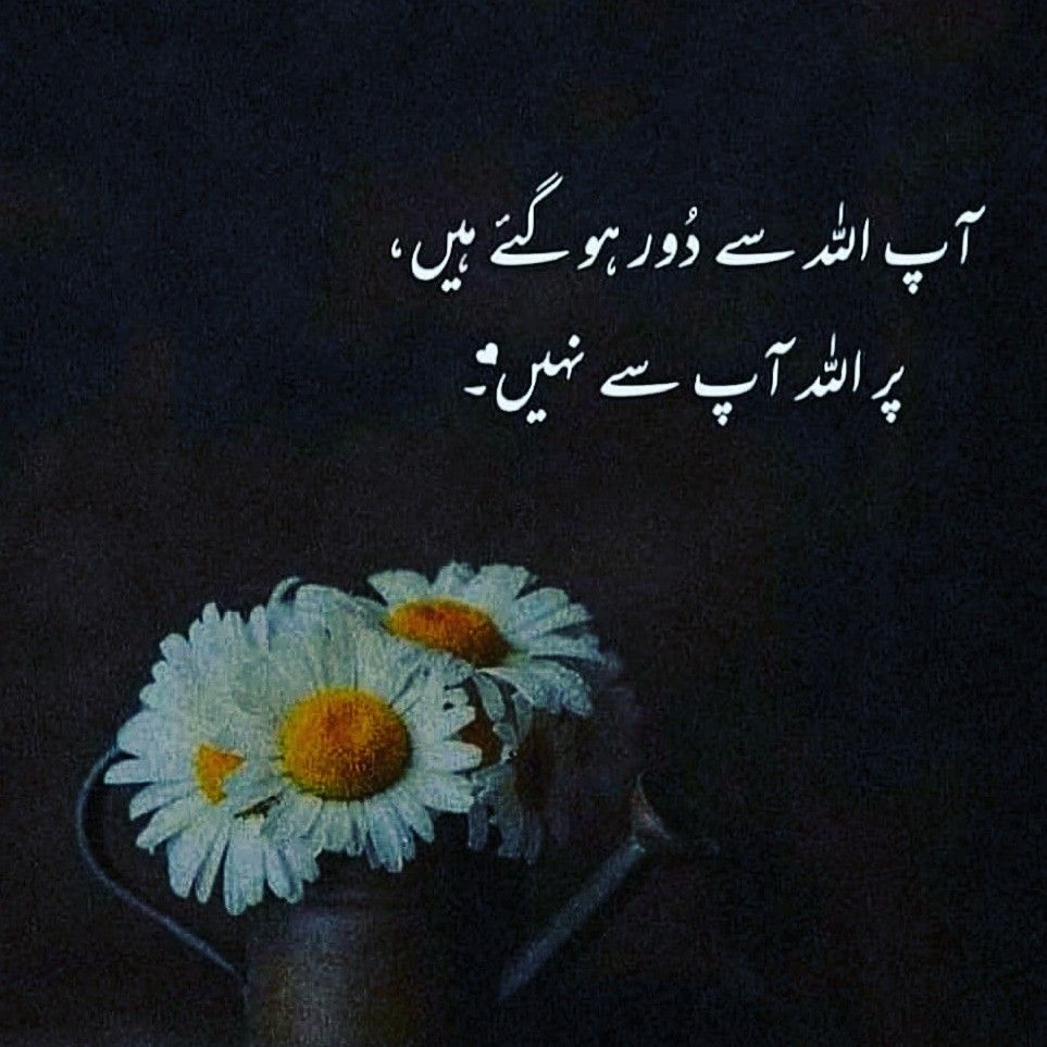 Pin on Urdu Poetry