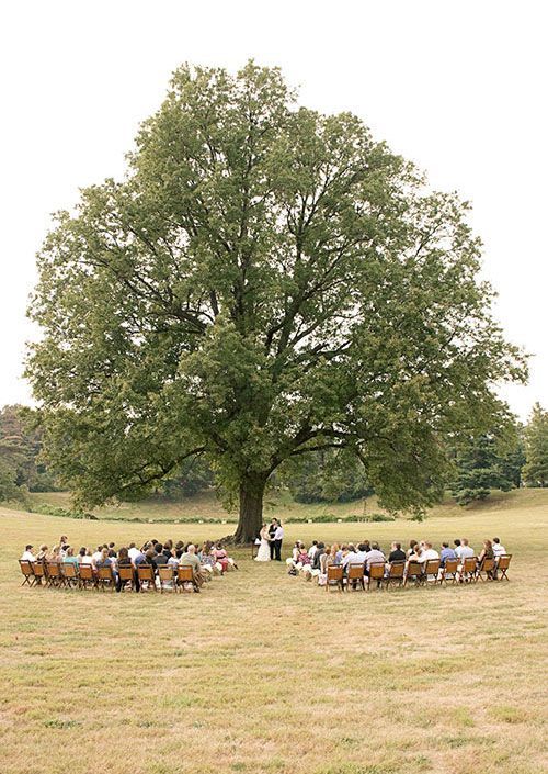 Wedding Series | My Pinterest Dream Venue Farm Wedding Ceremony, Field Wedding, Forest Wedding, Backyard Wedding, Outdoor Wedding, Wedding Events, Cute Wedding Ideas, Wedding Inspo, Perfect Wedding