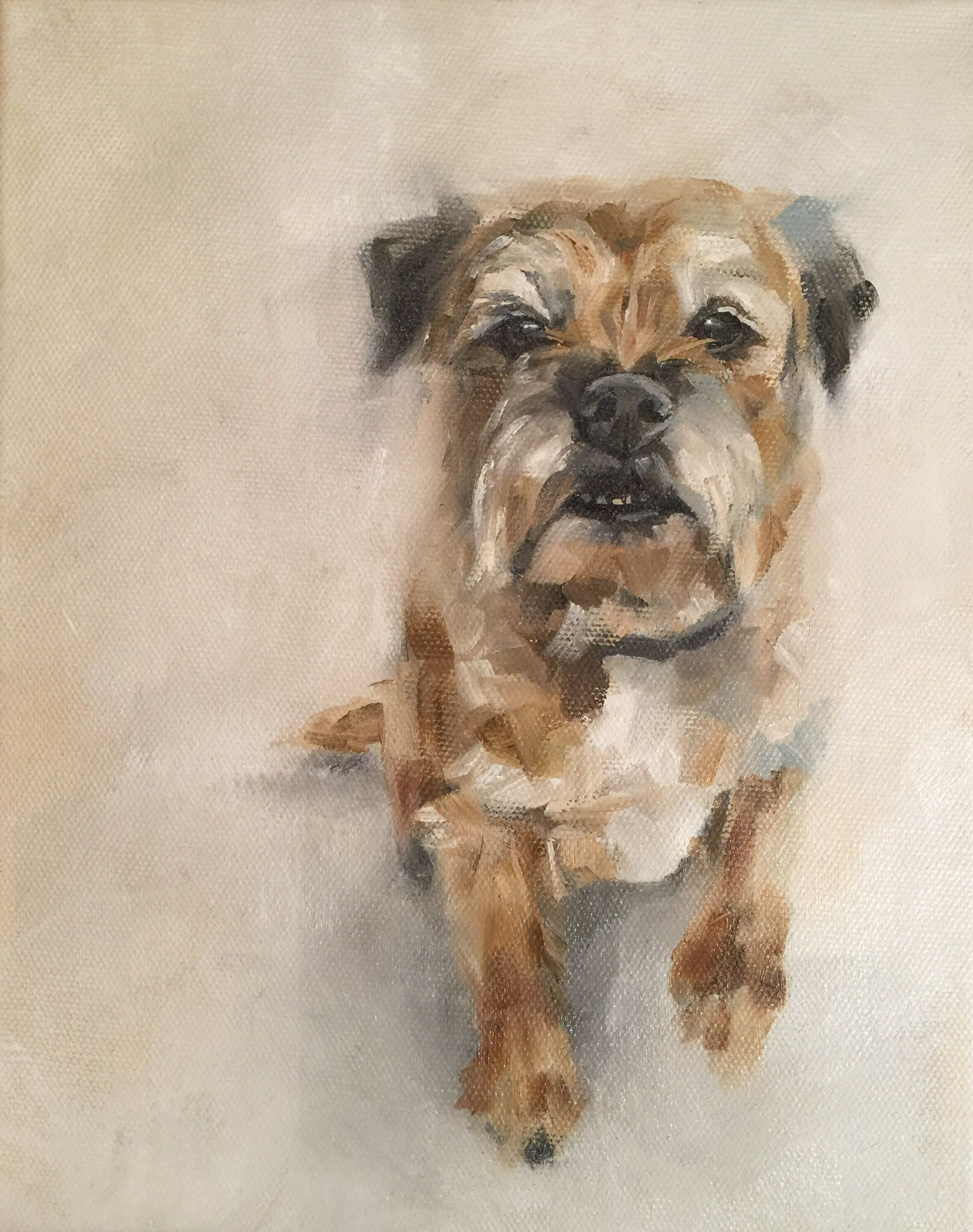Boarder Terrier By Julie Brunn Animal Paintings Watercolor Dog