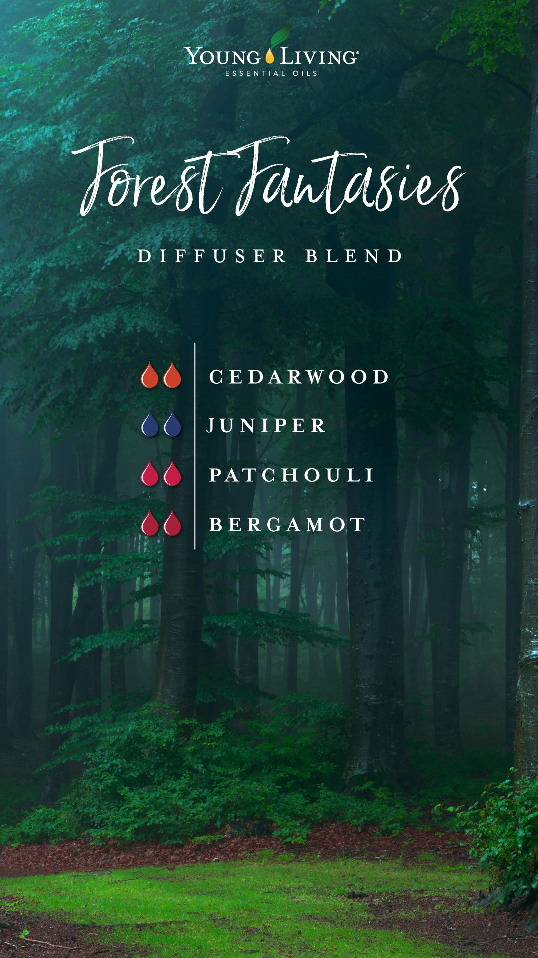 If you don’t have wild moors or tangled forests nearby to wander in, you can still get lost in your own whimsical fantasies and daring daydreams with this Forest Fantasies diffuser blend. Add the musk of Patchouli with cozy Cedarwood, bright Bergamot, and earthy Juniper essential oils for a scent that will sweep you away to sun-speckled trees. #home #essentialoils #diffuserblends #yleo Juniper Essential Oil, Essential Oil Diffuser Blends, Doterra Essential Oils, Essential Oil Recipes, Young Living Oils, Young Living Essential Oils, Young Living Diffuser, Young Living Recipes, Essential Oil Combinations