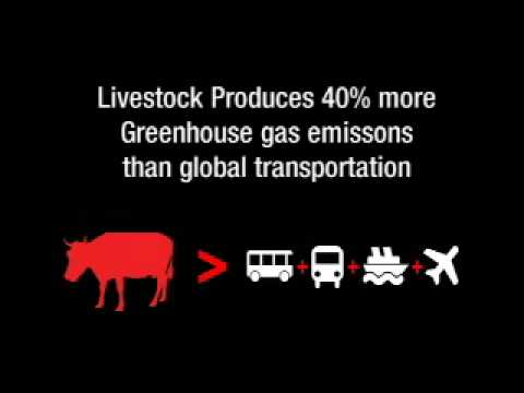 Infographic How Agriculture And Livestock Contribute To Climate Change Climate Change Solutions Climate Change Activities Climate Change Effects