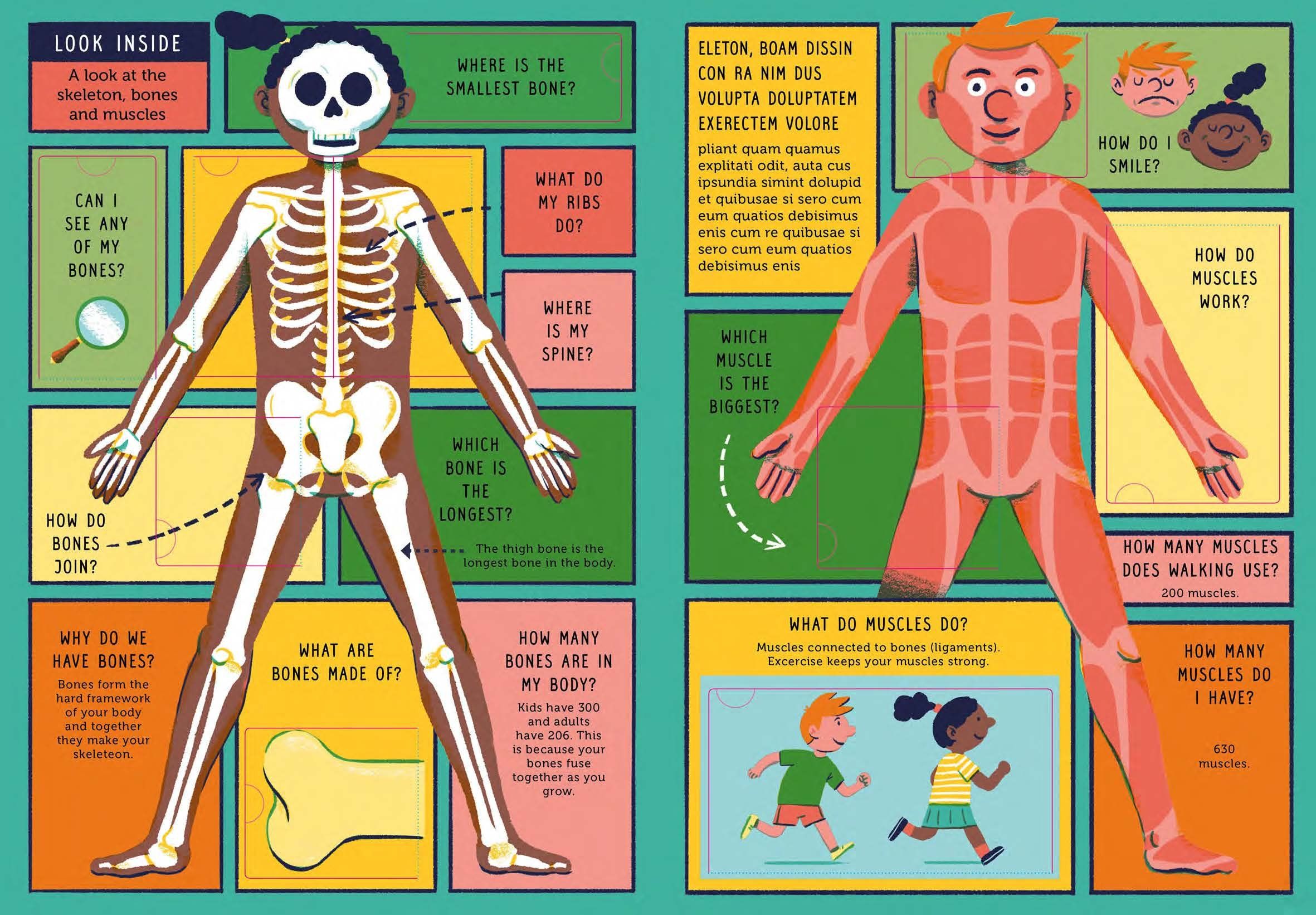 Image Result For Alive The Living Breathing Human Body Book