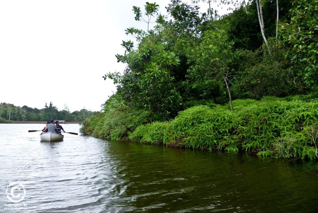 Hiyare Rainforest In Koggala 8211 Secret Escape Rainforest Secret Escapes Outdoor