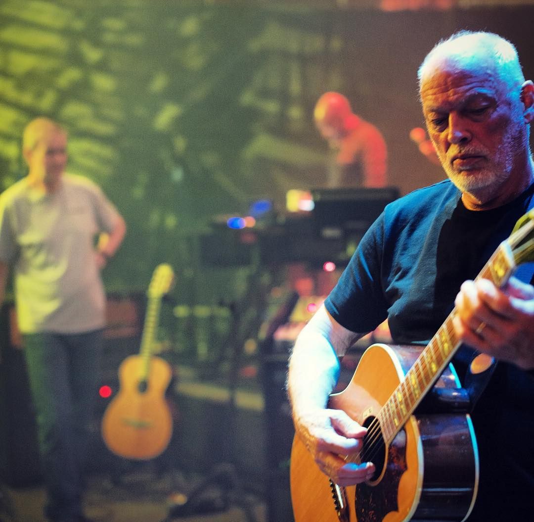 David Gilmour Royal Albert Hall David gilmour pink floyd, Rhythm and blues, David gilmour