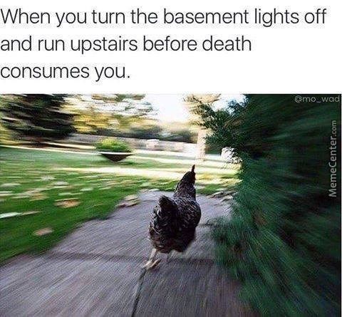 Here's a Basket Full of Chicken Memes to Help You Deal With Finding out About That One Really Big Chicken Super Funny Memes, Really Funny Memes, Stupid Memes, Funny Relatable Memes, Stupid Funny, Funny Laugh, Funny Jokes, Funny Sayings, Funny Stuff