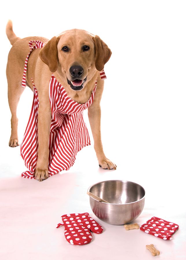Homemade Bad Breath Banisher Mint Dog Biscuit Recipe 101 Dog