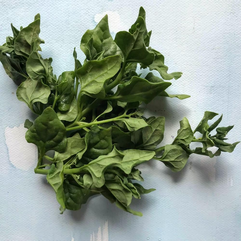 New Zealand Spinach Spinach, Stir fries, Spinach recipes