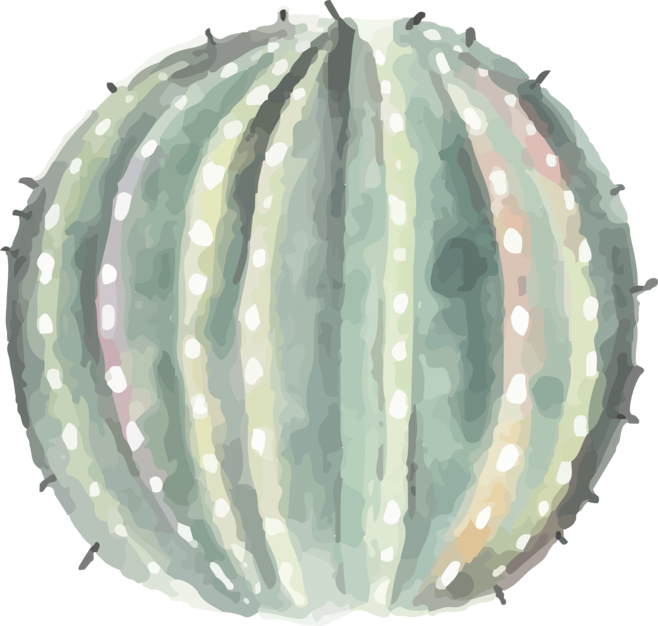 水彩风格小清新植物watercolor Style Small Fresh Plant Style Hd Png Bicycle Helmet 水彩风格小清新植物watercolor Style Small Fresh Plant Style Hd Png Bicycle Helmet