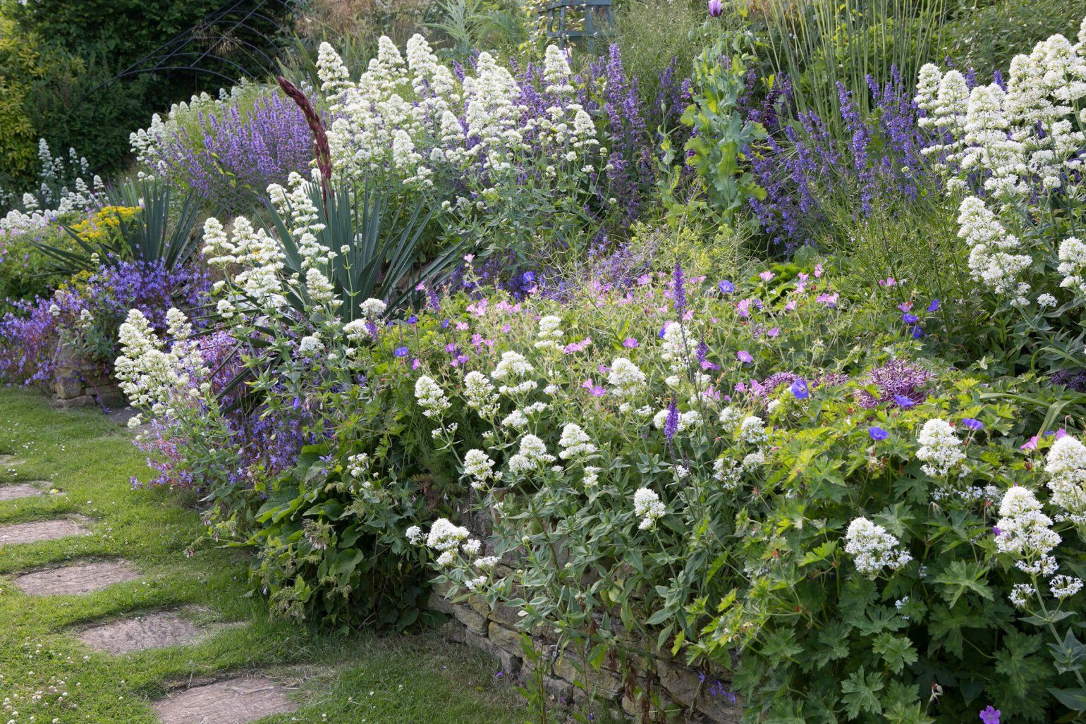 English Garden Design, Rose Garden Design, Herbaceous Border, Perennial Border, Cottage Garden Borders, Border Garden, Front Yard Garden Design, Logo Image, Home And Garden Store