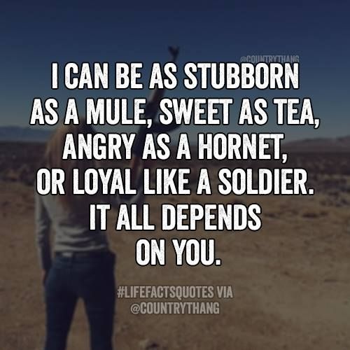 I Can Be As Stubborn As A Mule Sweet As Tea Angry As A Hornet Or Loyal Like A Soldier It All Depends On Yo Country Girl Quotes Cowgirl Quote Country I Can Be As Stubborn As A Mule Sweet As Tea Angry As A Hornet Or Loyal Like A Soldier It All Depends On Yo Country Girl Quotes Cowgirl Quote Country