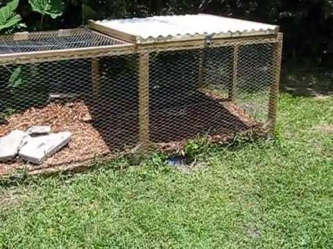 outdoor tegu cage google search charlie s home reptile