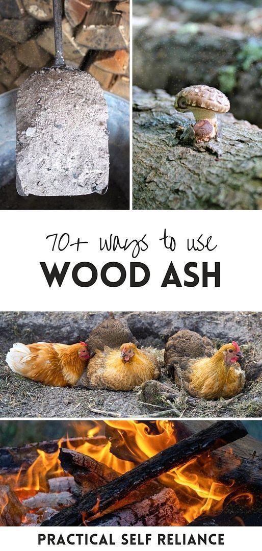 Pin On DIY Homestead Crafts Ideas pin-on-diy-homestead-crafts-ideas