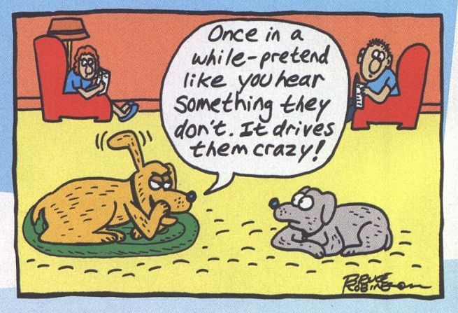 Funny Dog Cat Cartoons Sure To Make You Smile Description
