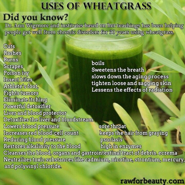 Food Raw Diet Wheatgrass Benefits Wheat Grass Health
