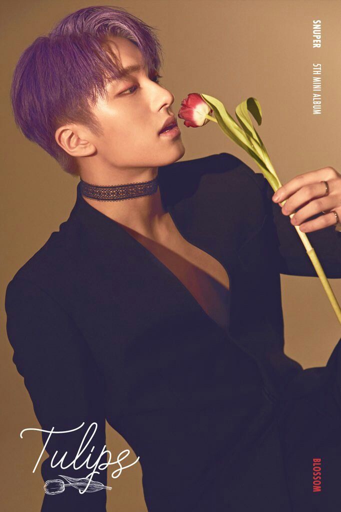 sebin snuper heartthrob singer boy groups sebin snuper heartthrob singer boy groups