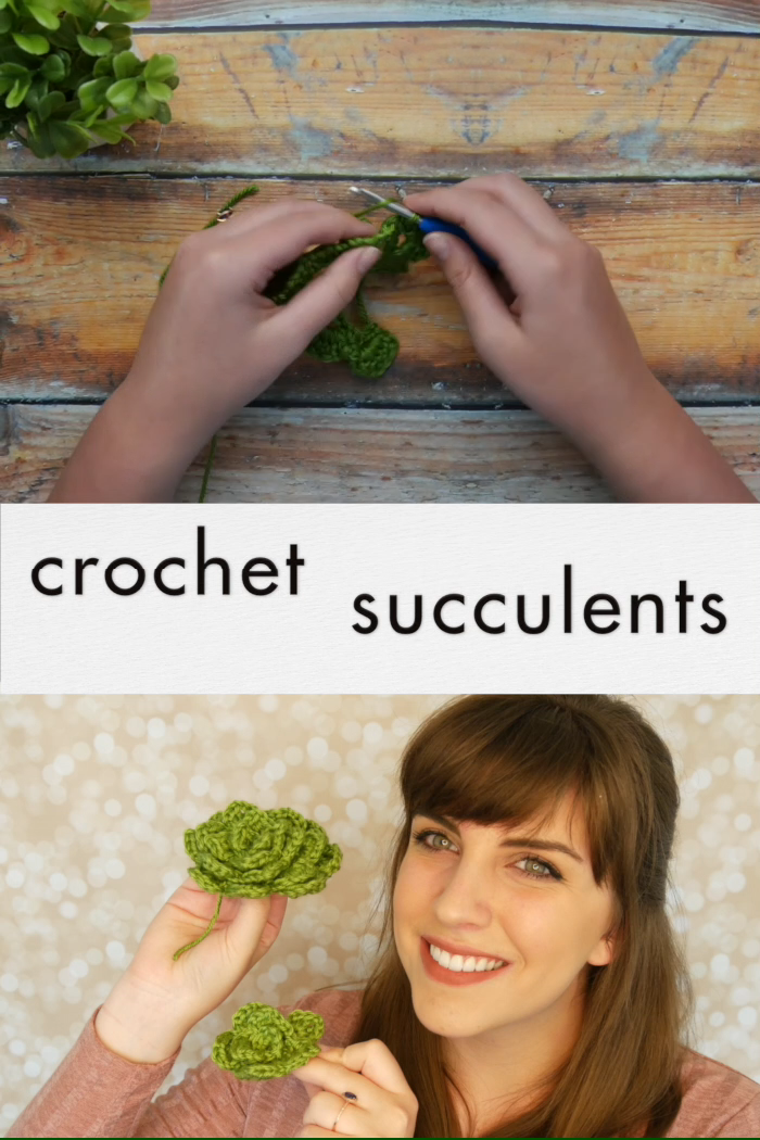 Easy Crochet Succulents - free pattern