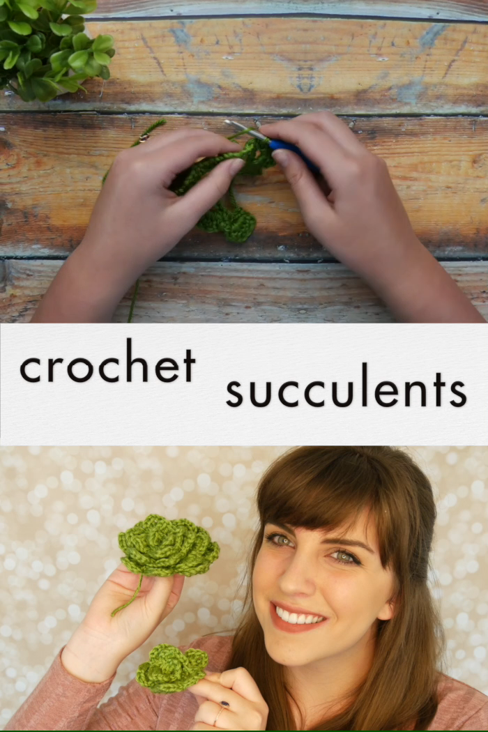 Crochet Succulents - any size