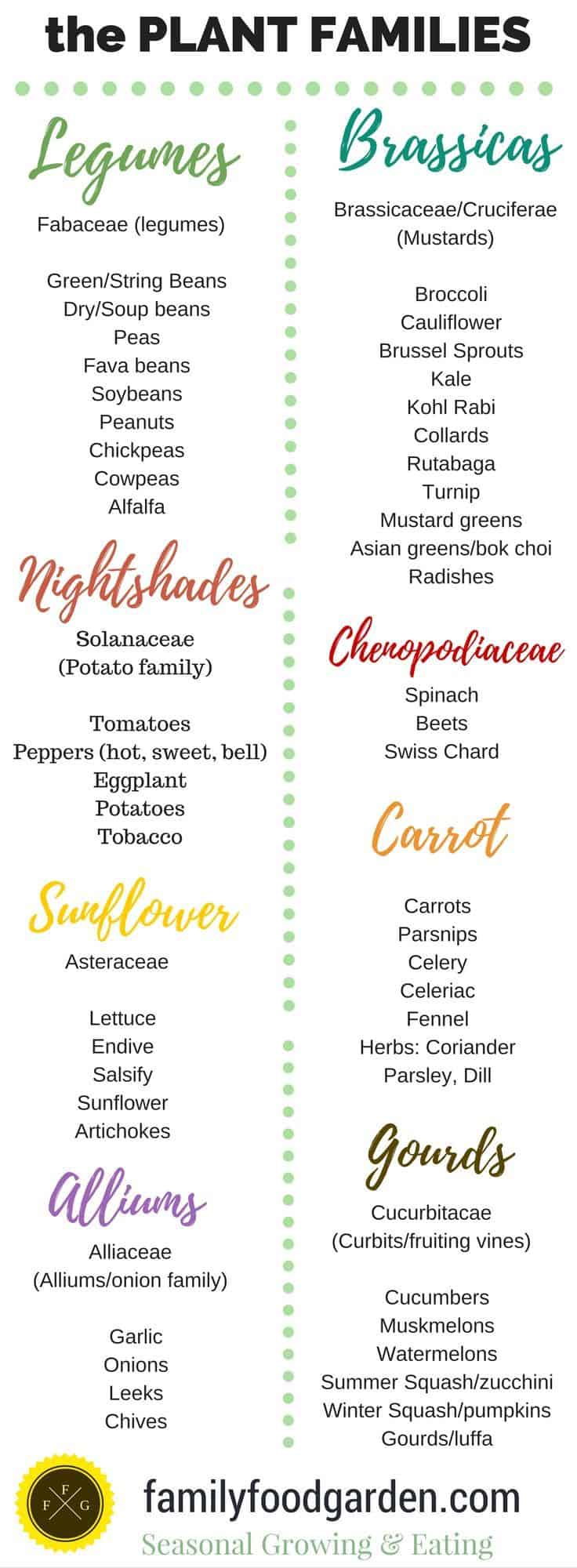 Crop Rotation Examples and Plant Families Organic gardening tips Crop Rotation Examples and Plant Families Organic gardening tips