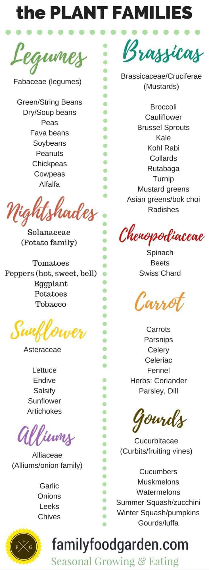 Crop Rotation Examples and Plant Families | Family Food Garden Backyard