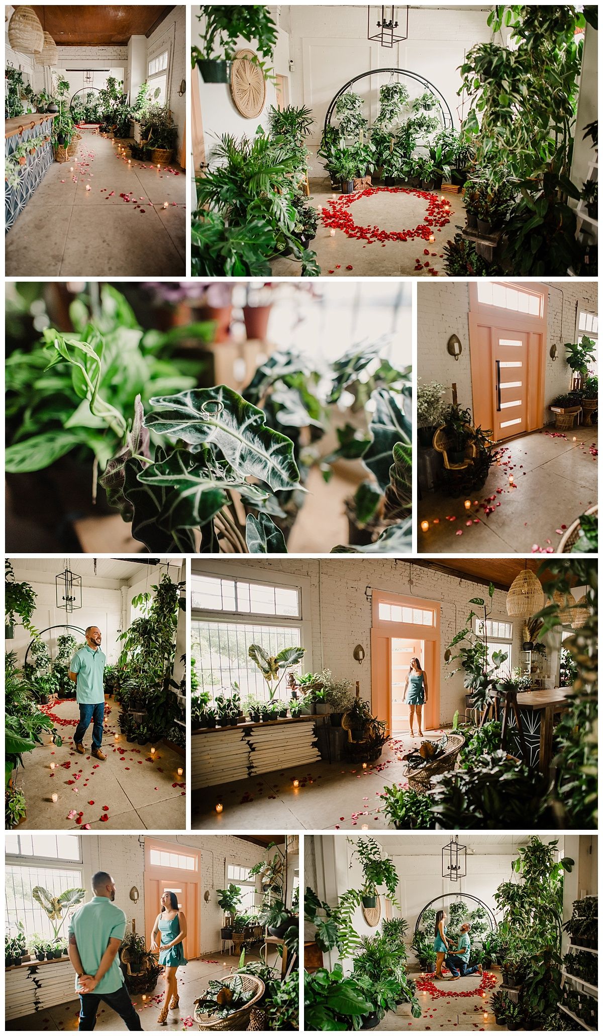 tree nursery tampa lakeland fl this fancy free nursery marriage proposal in tampa florida is what dreams are made of jonathan valeria 2018 stills by hernan pinterest wedding tree nursery tampa lakeland fl this fancy free nursery marriage proposal in tampa florida is what dreams are made of jonathan valeria 2018 stills by hernan pinterest wedding