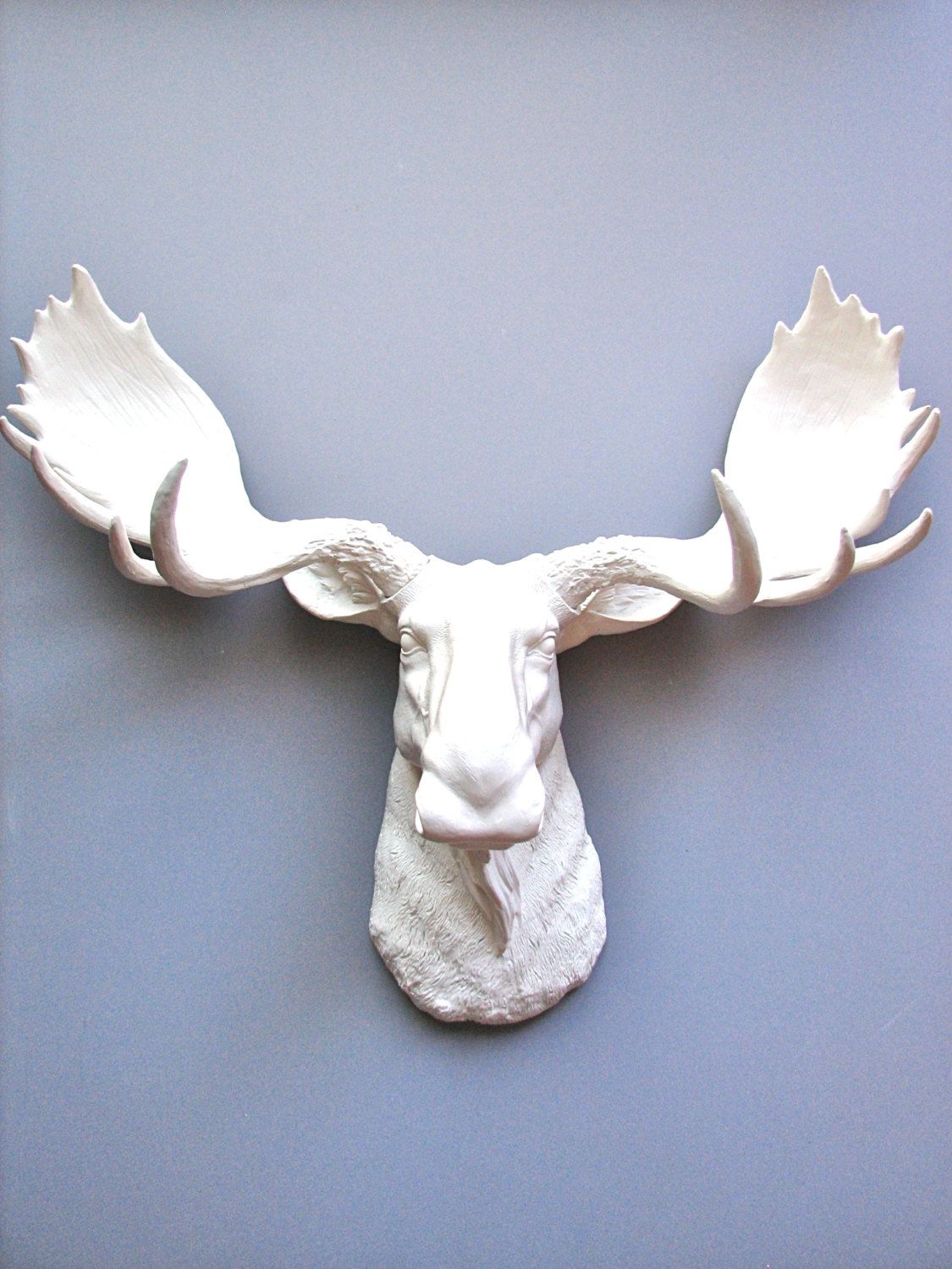 Faux Taxidermy Moose Head Wall Hanging Decor By Mahzerandvee Faux Taxidermy Moose Head Wall Hanging Decor By Mahzerandvee