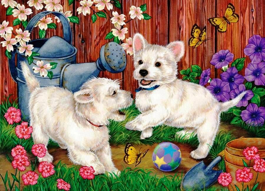 Картинки детские кошки и собаки, надписью сочи