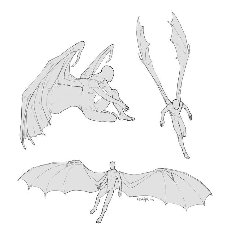Un vampire s'appelant Devis Malfoy, ancêtre de Lucius et Draco Malfoy… #fictiongénérale # Fiction générale # amreading # books # wattpad Figure Drawing Reference, Art Reference Photos, Winged People Drawing Reference, Fantasy Character Design, Character Art, Creature Concept Art, Art Poses, Drawing Base, Person Drawing