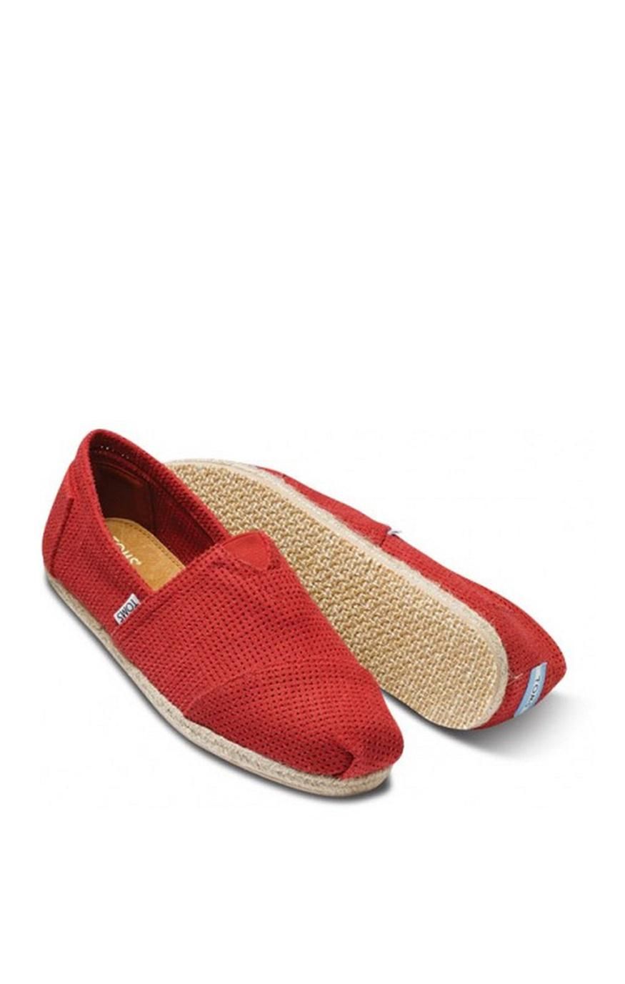 Toms Nice Color Ayakkabilar