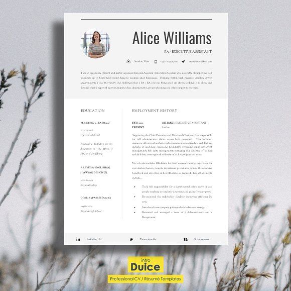 Professional Resume Template Professional resume template - resume template for mac Professional Resume Template Professional resume template - resume template for mac