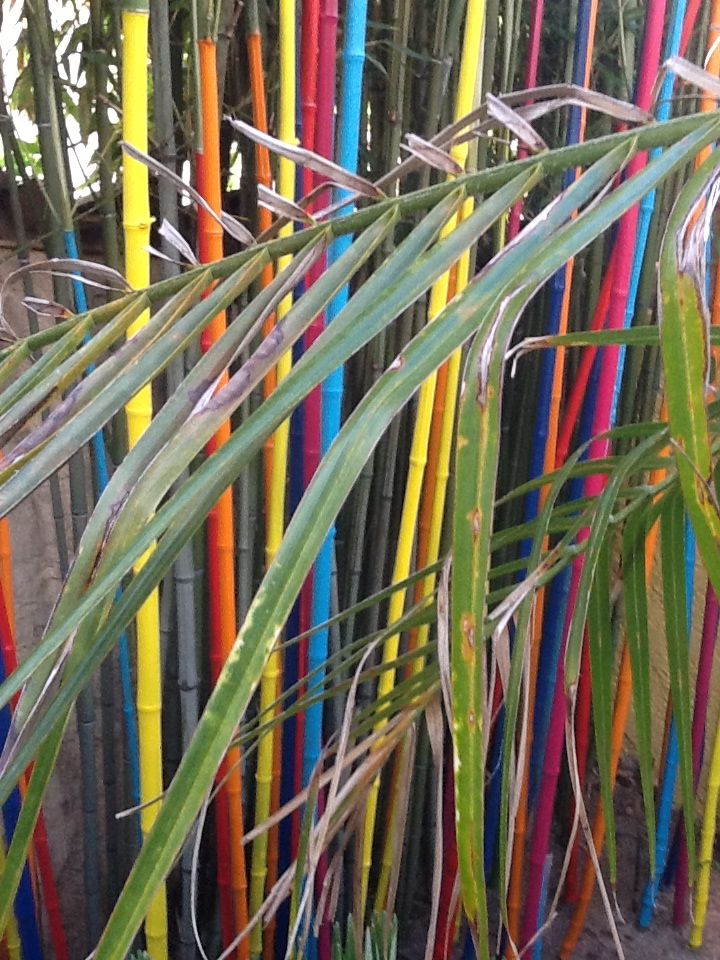 20+ Épinglé par Maryse Navello sur Jardin contemporain | Jardin
