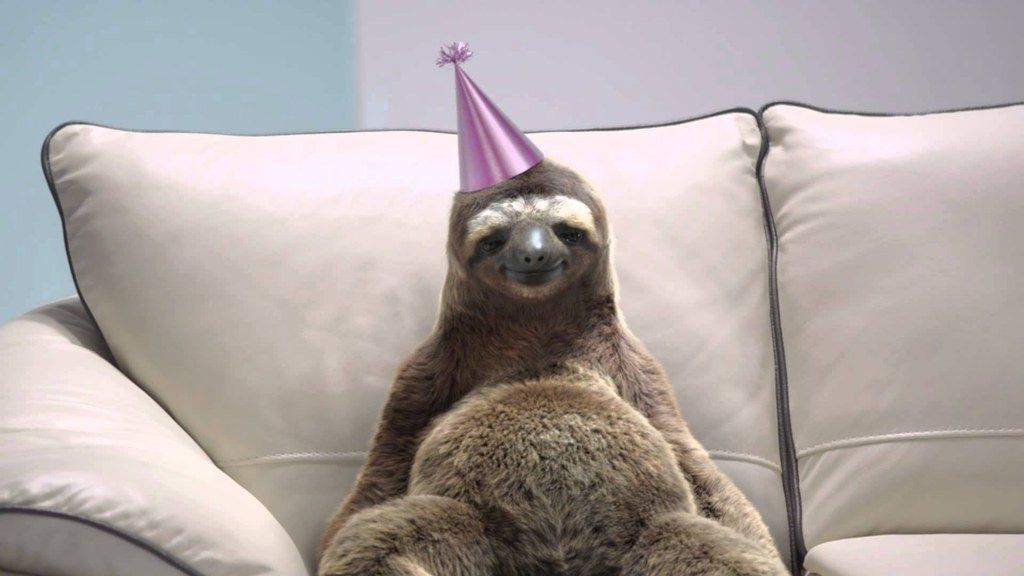 The Stages Of Rushing A Sorority As Told By Sloths