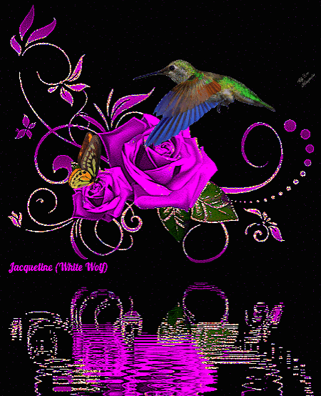gif created march 1